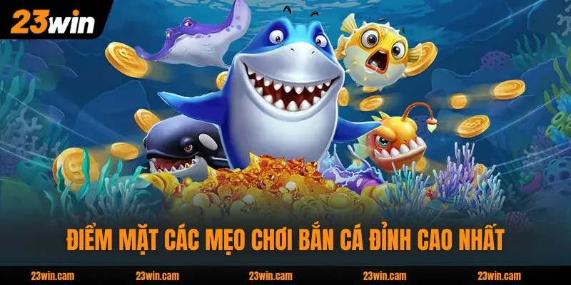 Điểm mặt các mẹo chơi bắn cá đỉnh cao nhất