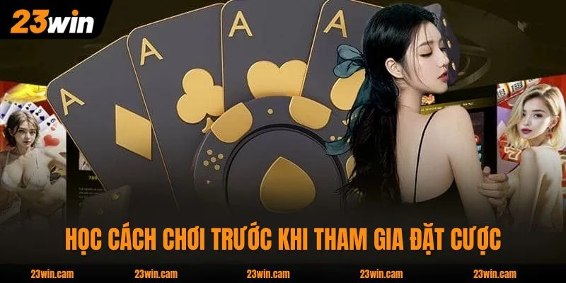 Game Bài 23WIN - 15 Sản Phẩm Từ 3 Nhà Cung Cấp Hàng Đầu 4 Học cách chơi trước khi tham gia đặt cược