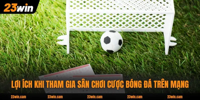Lợi ích khi tham gia sân chơi cược bóng đá trên mạng