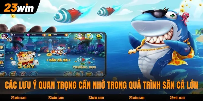 Các lưu ý quan trọng cần nhớ trong quá trình săn cá lớn