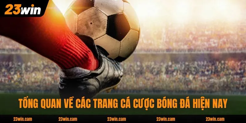Tổng quan về những trang cá cược bóng đá hiện nay